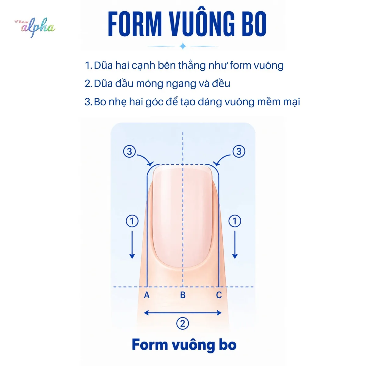 Dáng Vuông Bo