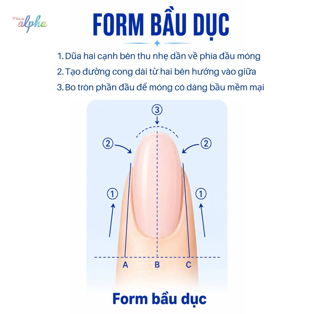 Dáng Bầu Dục