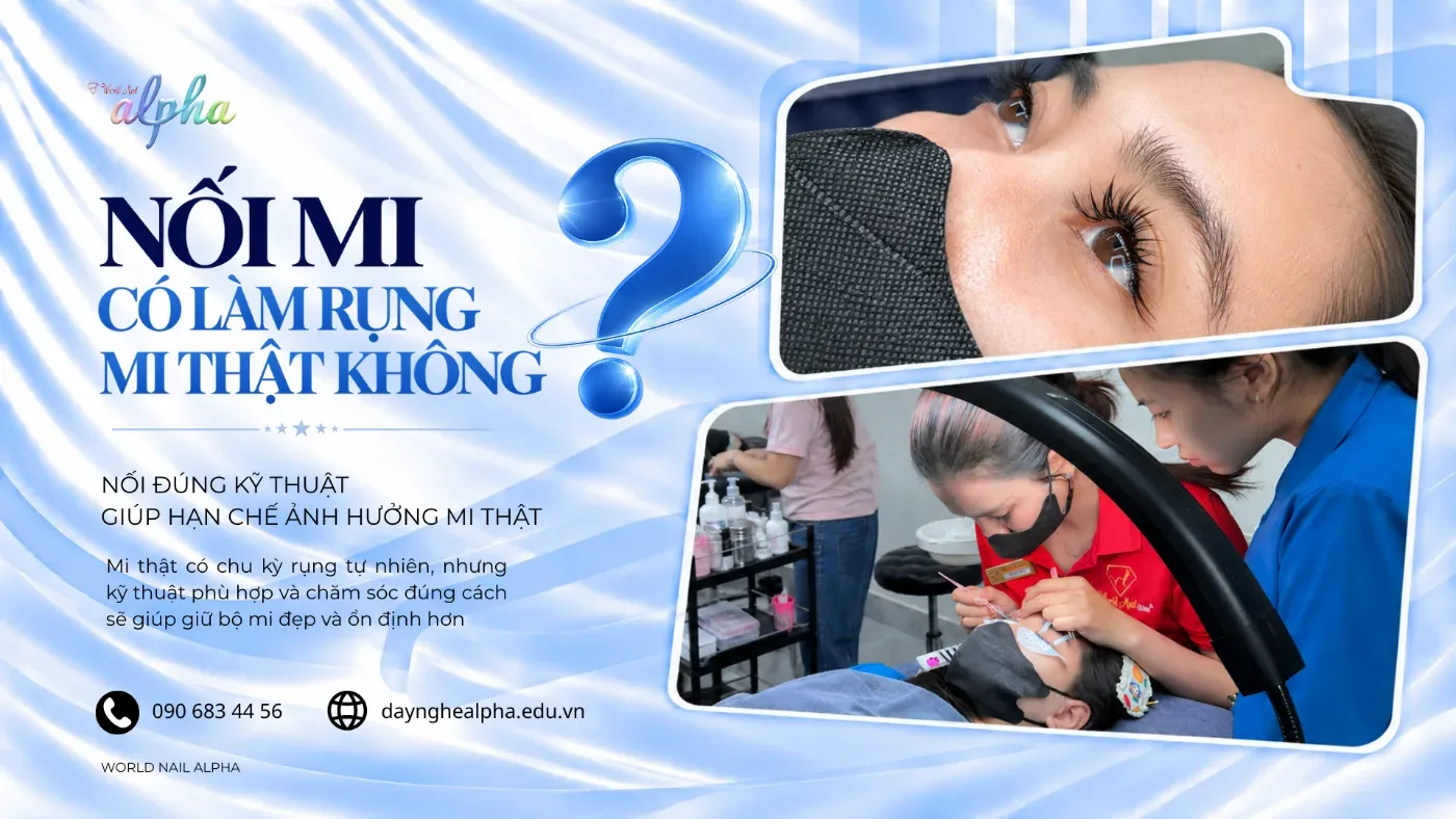 Nối Mi Có Làm Rụng Mi Thật Không? Những Điều Người Mới Cần Biết